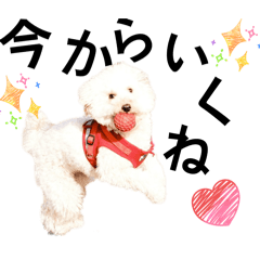 JIBGX_20260323224845