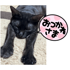 stamaki6_20260323225801