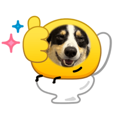 mofu-mofu-na-hibi_20260323225646