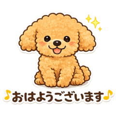 A Sweet and Gentle Toy Poodle