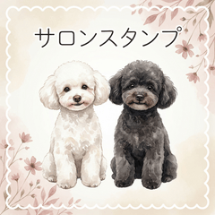 Gentle Salon Stickers of Toy Poodles
