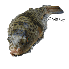 tomoki_20260324172237