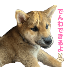 kanchan_20260324172830