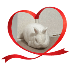 miki._20260324172929