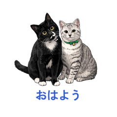 Mizuhara Maki_20260324173855