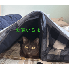 awasima_20260324172546