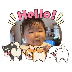 kumiko_20260324173349