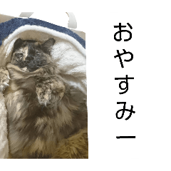 akepyon_20260324174250