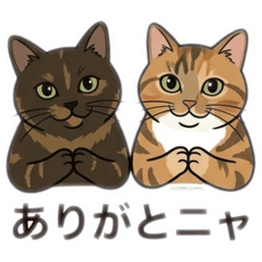 Yuzuru_20260324081226