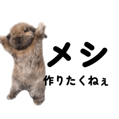 papapapa_20260324075534