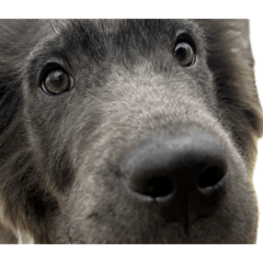 POKO29_20260321205708