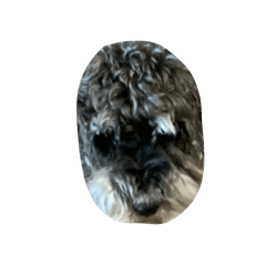 Hooooo_20260321232027