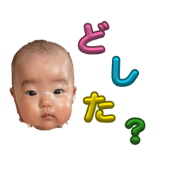 noboru_20260324075458