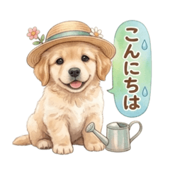 ichigo_20260324071856