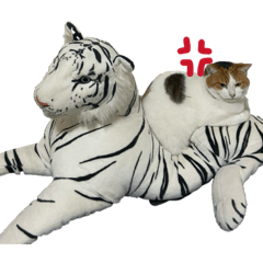 ARINKOKO_20260322021123