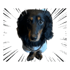 takoyaki_20260324162046