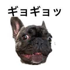 ROHAN_20260324102429