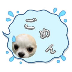 yusei_20260324101007