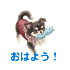 takagi_20260324102750