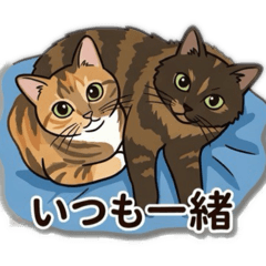 Yuzuru_20260324103451