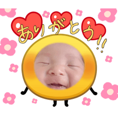 hotann_20260324103311