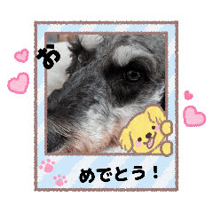 Yamatama_20260324103219