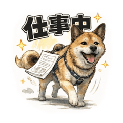 soraumi_20260324103535