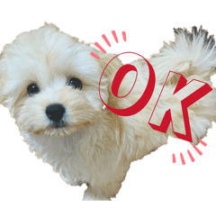 #meron_20260324103641