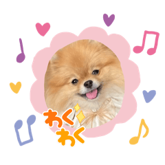 TomoCo_20260324120403