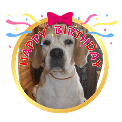 Brownieheart_20260324131130