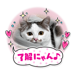 nyantama_
