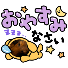 mayu_20260324133024