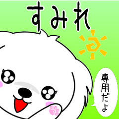 Sumire only Cute Maltese Sticker