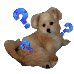 natsumi_20260324164624