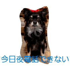 woody_20260324164552