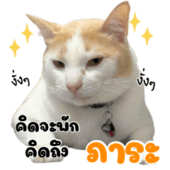 คิดจะพัก คิดถึง “ภาระ”