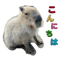 Fantastic Animal stamps