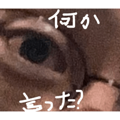 by.yuzu_20260322104239