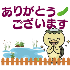 Kappa "Kappi": Polite Phrases & Replies