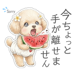 wonderful life_20260324142040