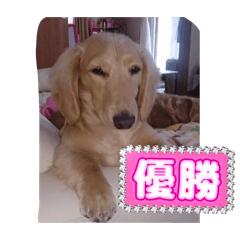 aachyann_20260324142635