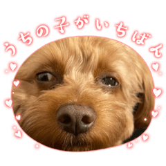 poteto_20260324143330