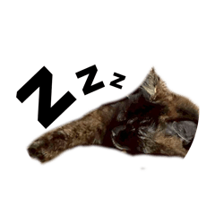 Ayaka08_20260324135752