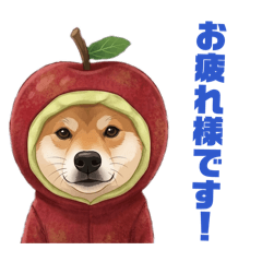 kyodaimaru_20260324143724