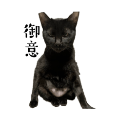 madani_20260324143443