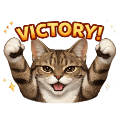 Cat Stickers for Everyday Use!!