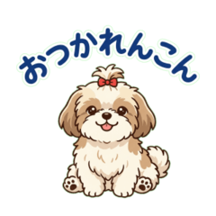 Shih Tzu Greeting 03