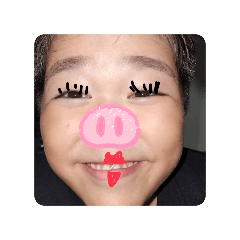 Husky_20260324163238