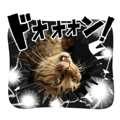 haruka_20260324163325