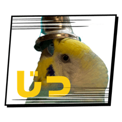 manzou_20260324163420